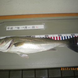姫路市立遊魚センター 釣果