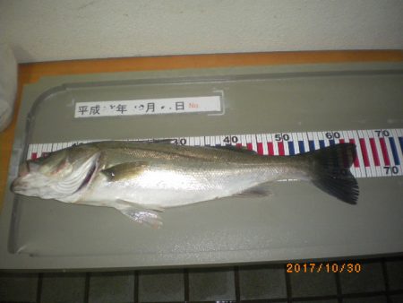 姫路市立遊魚センター 釣果