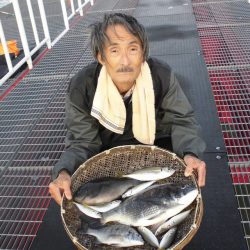 尼崎市立魚つり公園 釣果