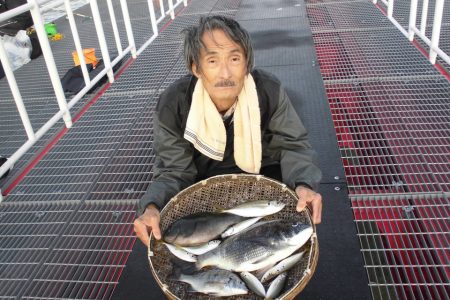 尼崎市立魚つり公園 釣果