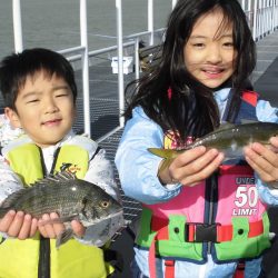 尼崎市立魚つり公園 釣果