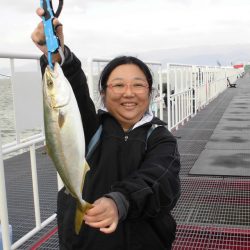 尼崎市立魚つり公園 釣果