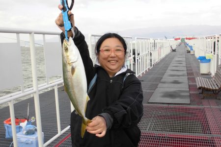 尼崎市立魚つり公園 釣果