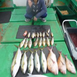 真祐丸 （しんゆうまる） 釣果