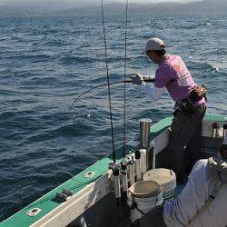 八海丸 釣果