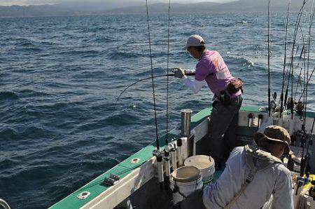 八海丸 釣果