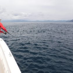 ＢｌｕｅＮｏｔｅ　Ｆｉｓｈｉｎｇ　Ｔａｘｉ 釣果