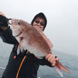 遊漁船ブルーウッズ 釣果