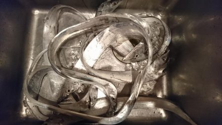 大雨の中ワインド