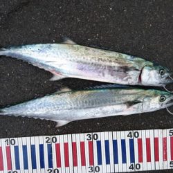 台風来ますけど…