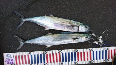 台風来ますけど…