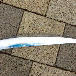 デイタイムタチウオ