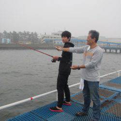 オリジナルメーカー海づり公園(市原市海づり施設) 釣果