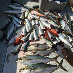 ふじしめ丸 釣果