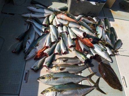 ふじしめ丸 釣果