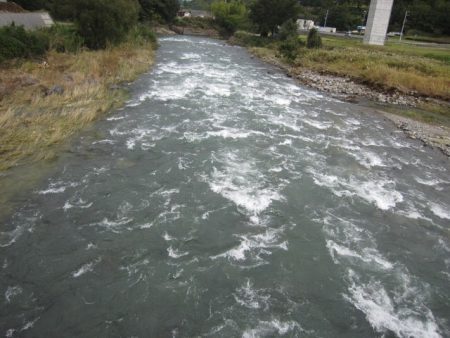 狩野川(狩野川漁業協同組合) 釣果