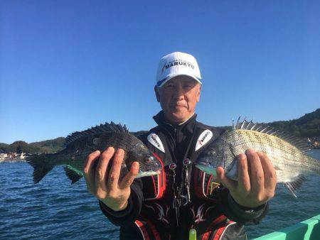 由良渡船 釣果