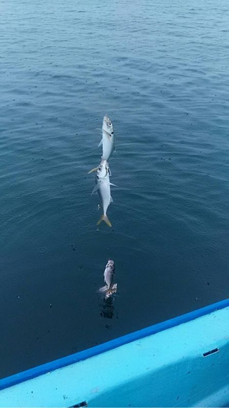宝昌丸 釣果