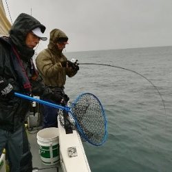 IDATEN（イダテン） 釣果