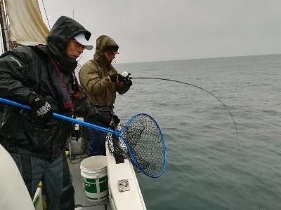 IDATEN（イダテン） 釣果