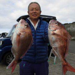 大進丸(新潟) 釣果