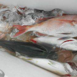 こうゆう丸 釣果