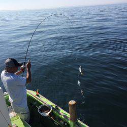 深川 吉野屋 釣果