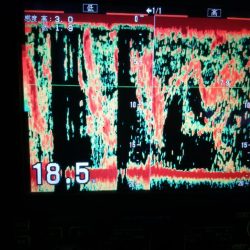 深川　吉野屋 釣果