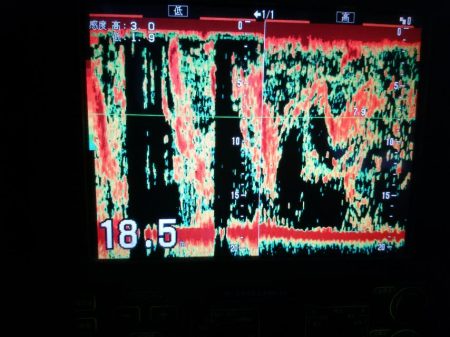 深川　吉野屋 釣果