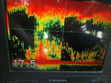 深川 吉野屋 釣果