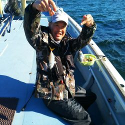 深川　吉野屋 釣果