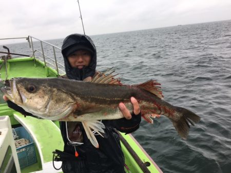 深川　吉野屋 釣果
