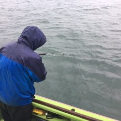 深川 吉野屋 釣果