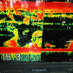 深川 吉野屋 釣果