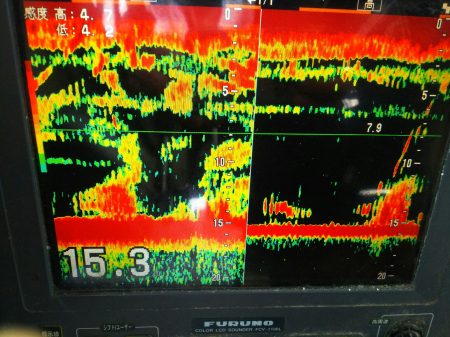 深川 吉野屋 釣果
