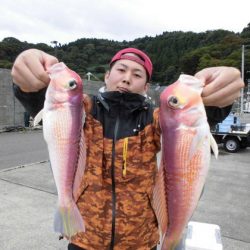 大進丸(新潟) 釣果