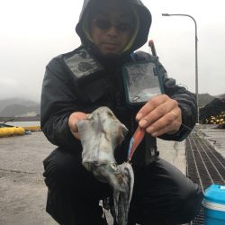 由良渡船 釣果