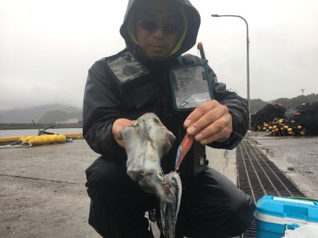 由良渡船 釣果
