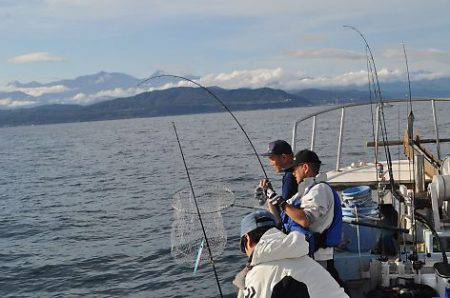 八海丸 釣果
