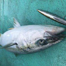 広進丸 釣果