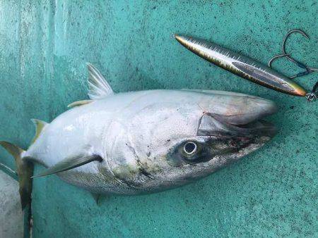 広進丸 釣果
