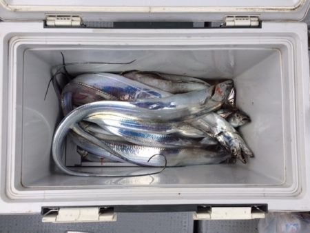 遊漁船高橋 釣果