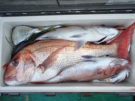 第二むつ漁丸 釣果