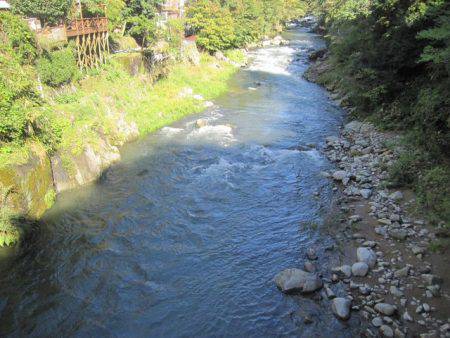 狩野川（狩野川漁業協同組合） 釣果