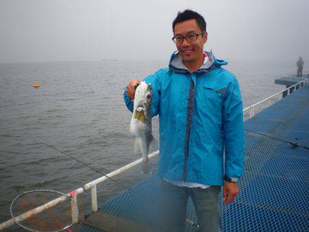 オリジナルメーカー海づり公園(市原市海づり施設) 釣果