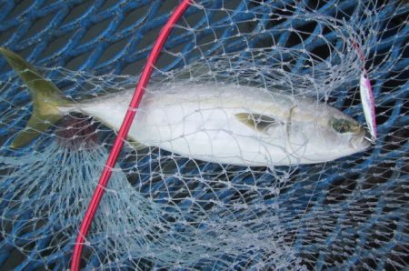 オリジナルメーカー海づり公園(市原市海づり…