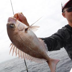 ＢｌｕｅＮｏｔｅ　Ｆｉｓｈｉｎｇ　Ｔａｘｉ 釣果