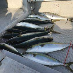 寿裕 （YOSHIHIRO） 釣果