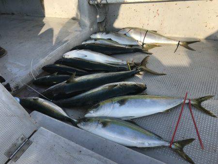 寿裕 （YOSHIHIRO） 釣果