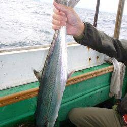 真祐丸 （しんゆうまる） 釣果